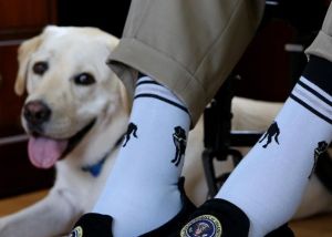 Az egykori amerikai elnök nagy segítsége és barátja egy kutya