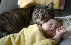 A csecsemő egy macskának köszönheti az életét